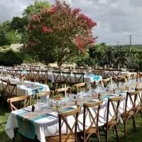 All Stacking Chairs